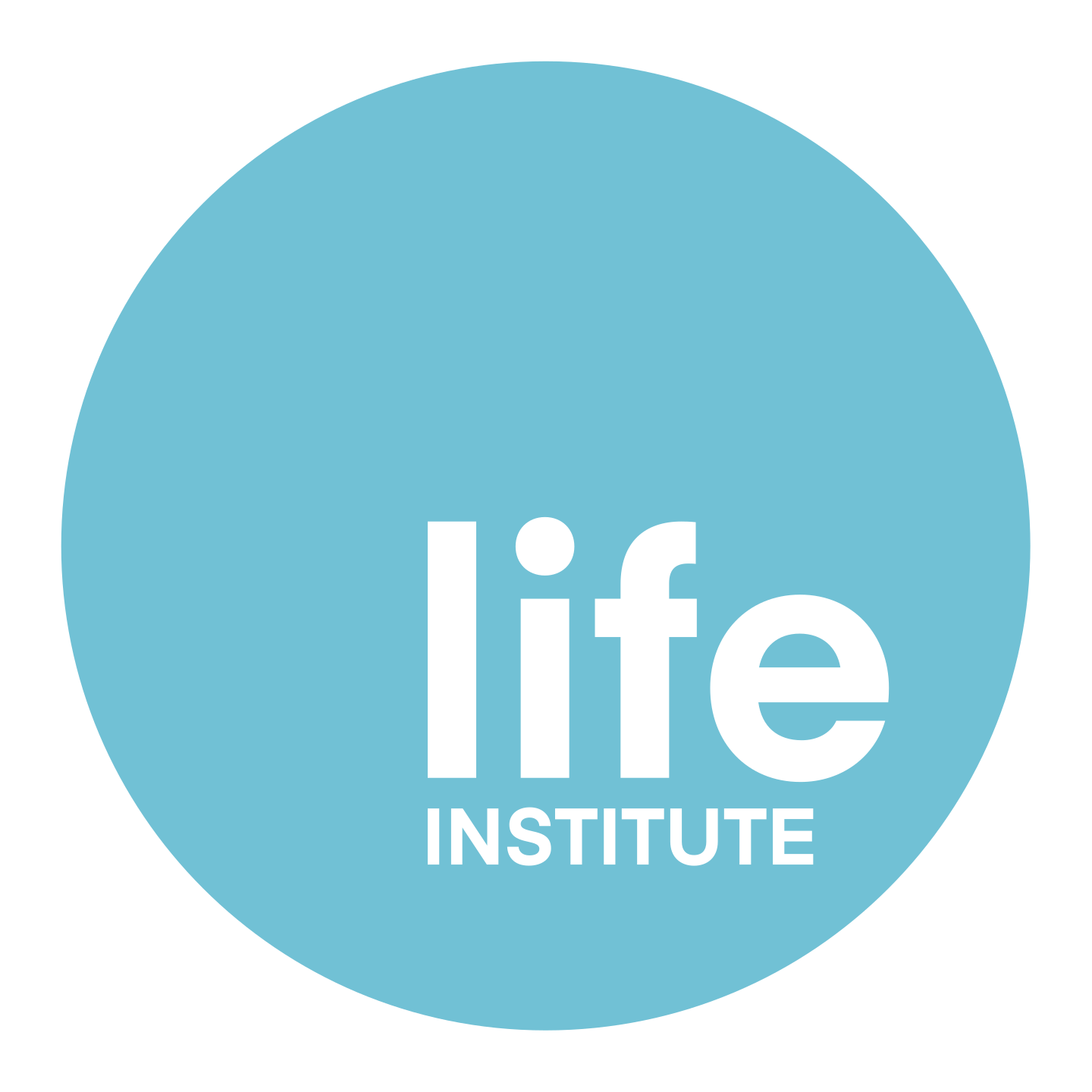 How LIFE Methodology works – Instituto LIFE
